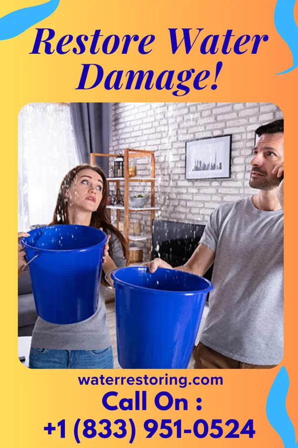 water restoration Silver Mitigation Experts Houghton