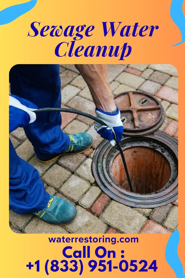 Sewage Water Cleanup in Houghton, MI